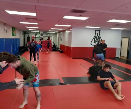 The Martial Arts Laboratory