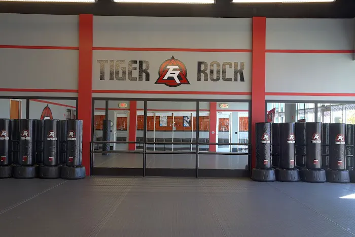 Tiger-Rock Martial Arts of McKinney Picture 5