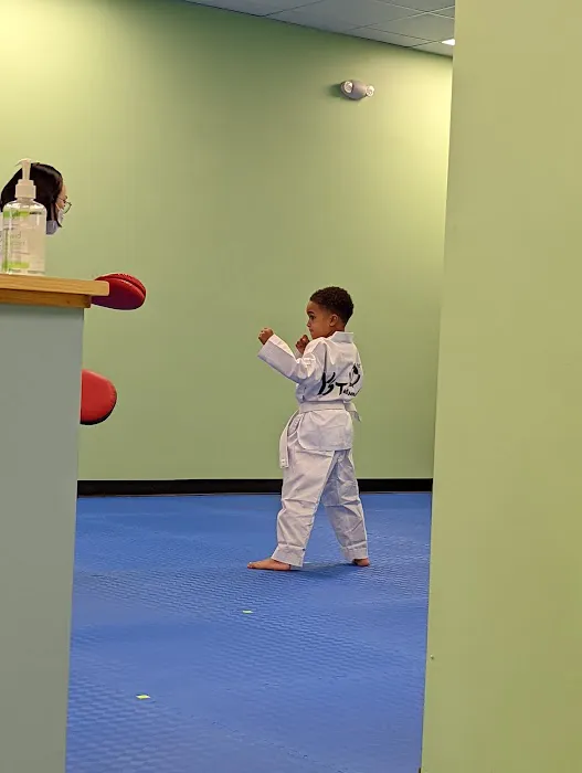 Y S TAEKWONDO Picture 3