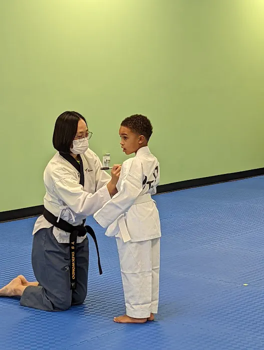 Y S TAEKWONDO Picture 2