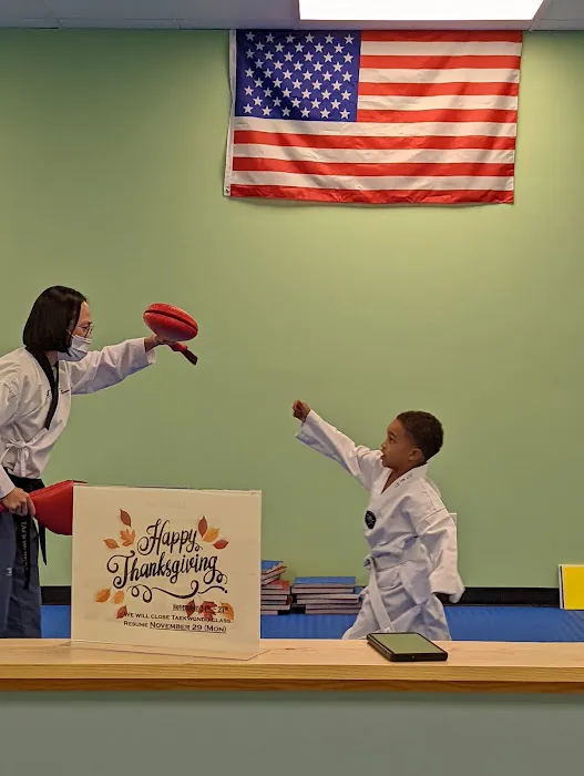 Y S TAEKWONDO Picture 1