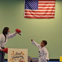 Y S TAEKWONDO ico