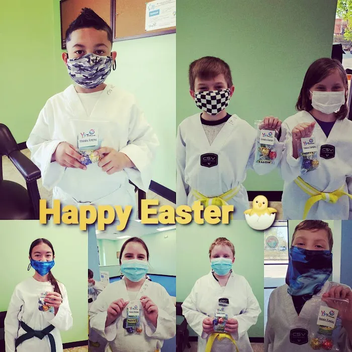 Y S TAEKWONDO Picture 10