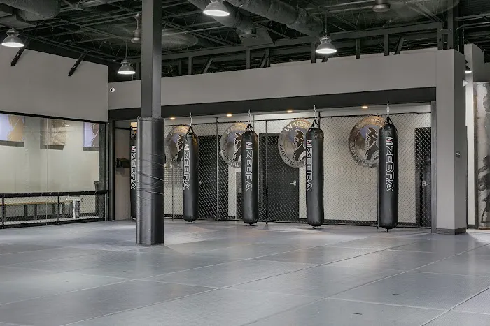 Warrior Martial Arts Academy McKinney Picture 5