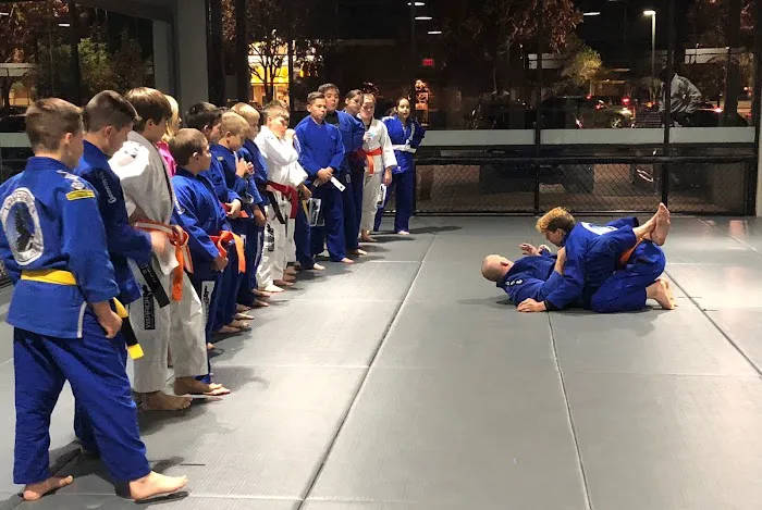 Warrior Martial Arts Academy McKinney Picture 4