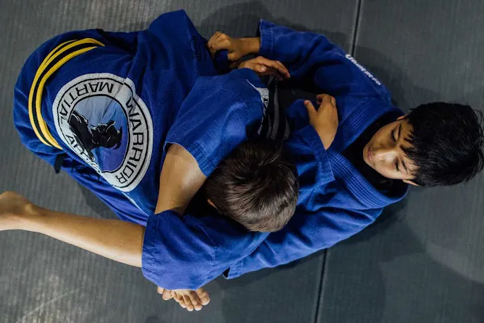 Warrior Martial Arts Academy McKinney Picture 3