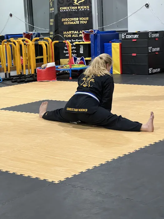 Cheetah Kicks Martial Arts Picture 2