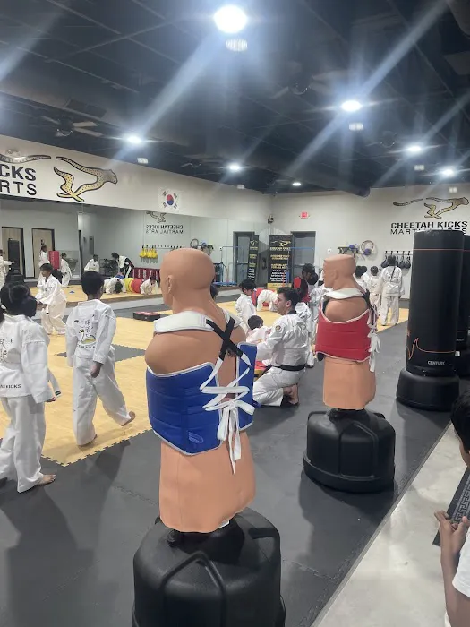 Cheetah Kicks Martial Arts Picture 3