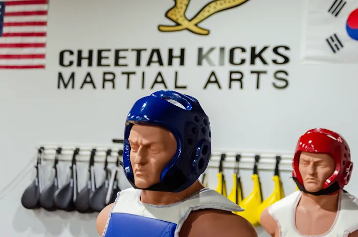Cheetah Kicks Martial Arts Picture 5