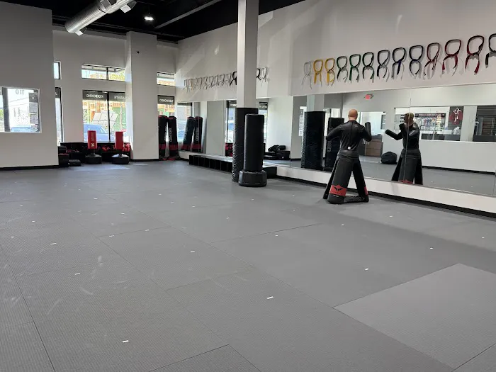 Professional Black Belt Academy - Celina Picture 1