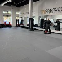 Professional Black Belt Academy - Celina ico