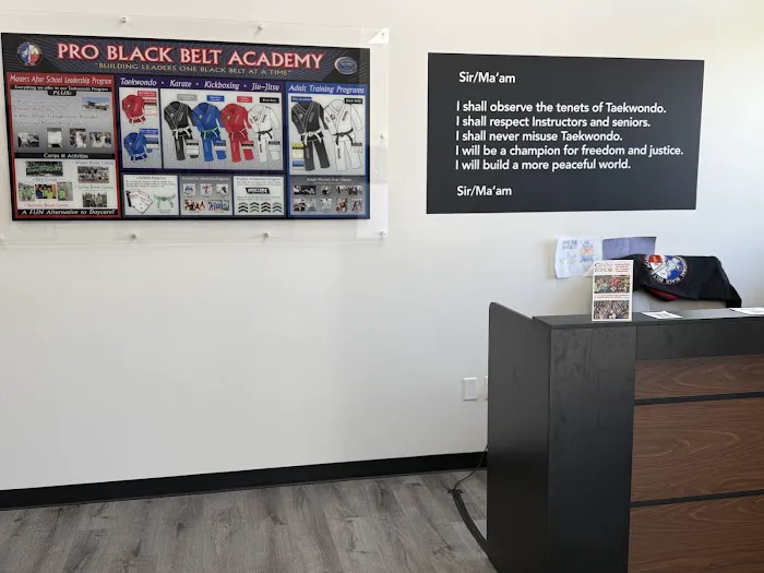 Professional Black Belt Academy - Celina Picture 2
