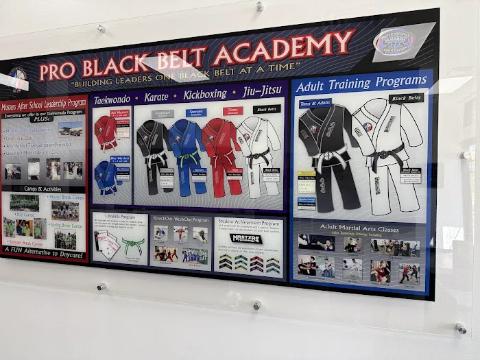Professional Black Belt Academy - Celina Picture 7