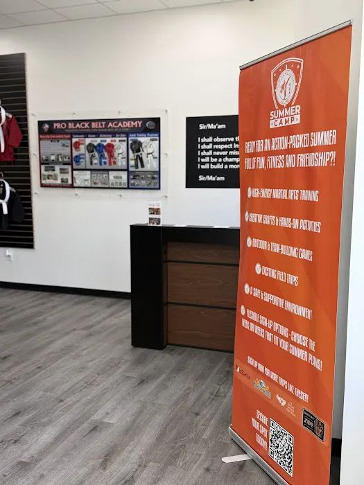 Professional Black Belt Academy - Celina Picture 4