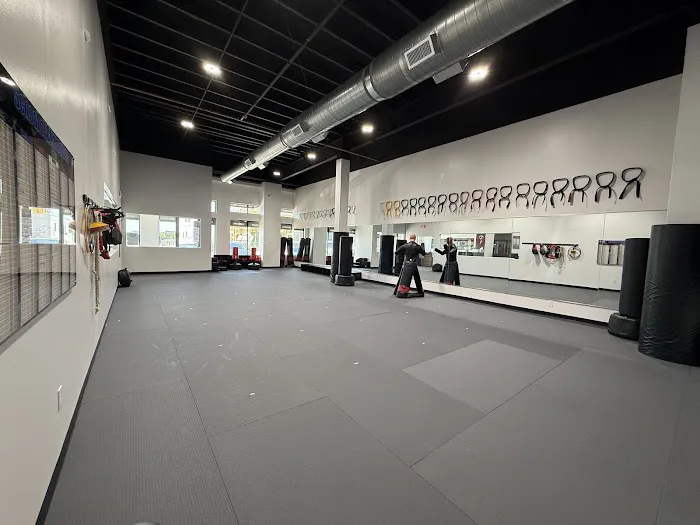 Professional Black Belt Academy - Celina Picture 8