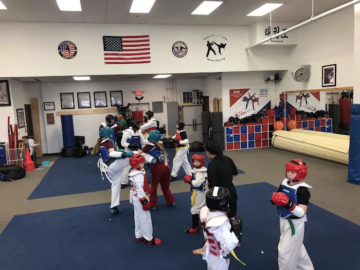 Talon Martial Arts Picture 3