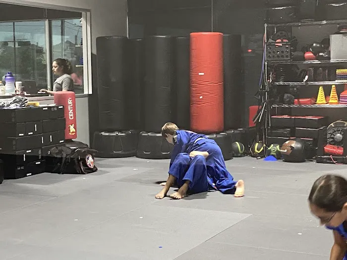 Professional Black Belt Academy West Prosper Picture 5