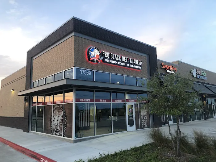 Professional Black Belt Academy West Prosper Picture 9