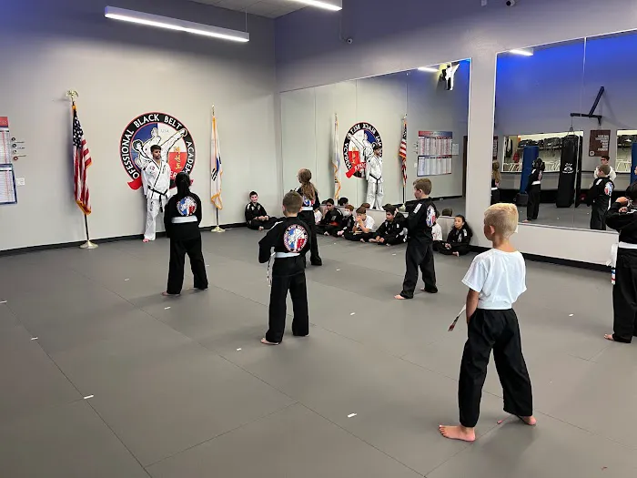 Professional Black Belt Academy - Prosper Picture 5