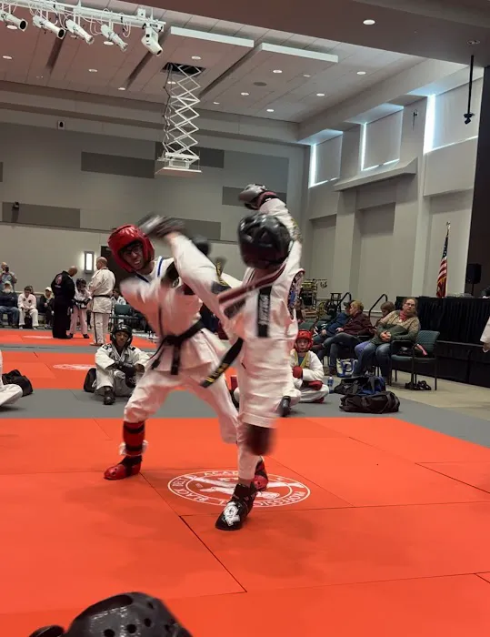 Professional Black Belt Academy - Prosper Picture 3