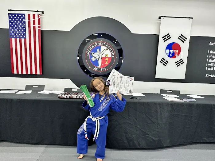 Professional Black Belt Academy - Prosper Picture 2