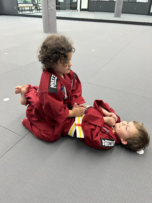 Professional Black Belt Academy - Frisco Picture 3