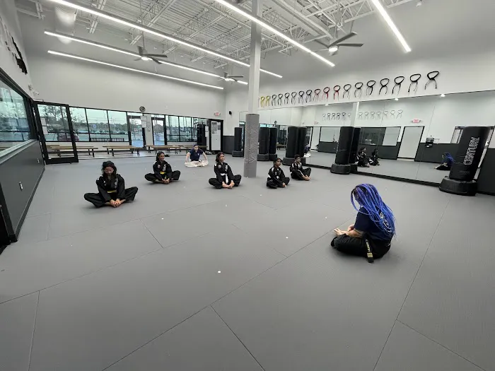 Professional Black Belt Academy - Frisco Picture 5