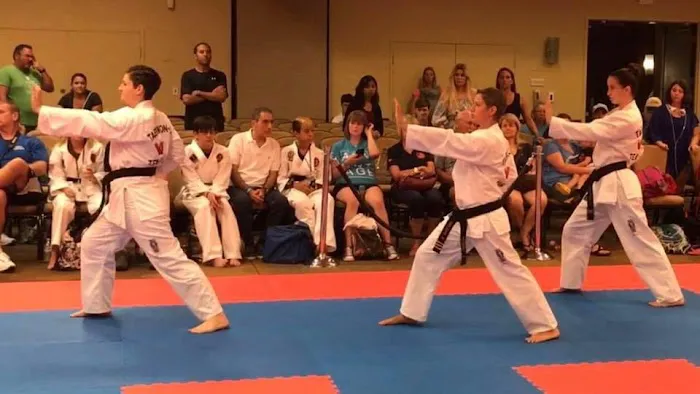 Professional Black Belt Academy - Frisco Picture 8