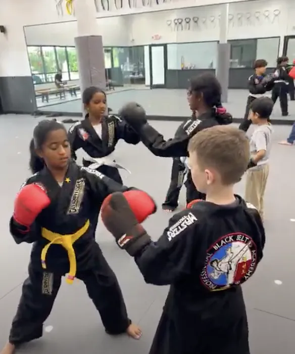 Professional Black Belt Academy - Frisco Picture 10
