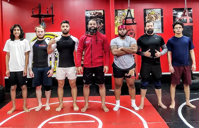 GUEGO BJJ TEAM MCKINNEY TX Picture 7