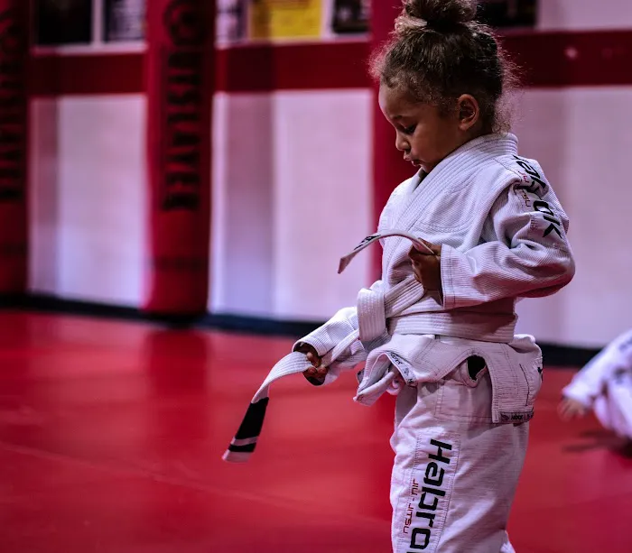 GUEGO BJJ TEAM MCKINNEY TX Picture 10