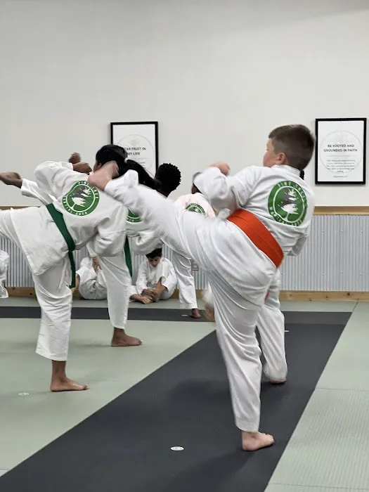 Pine Tree Martial Arts Picture 7