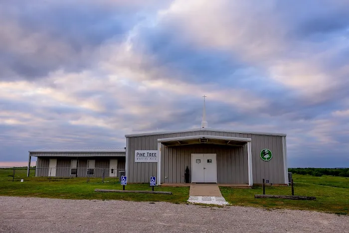 Pine Tree Martial Arts Picture 9