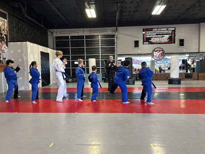 Arnold's Martial Arts Picture 7