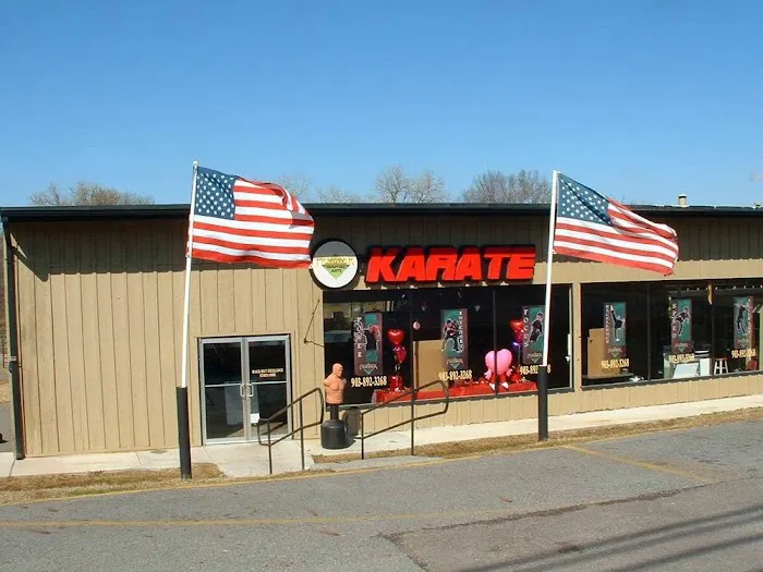 Arnold's Martial Arts Picture 10