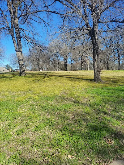 Lionzheart Picture 1