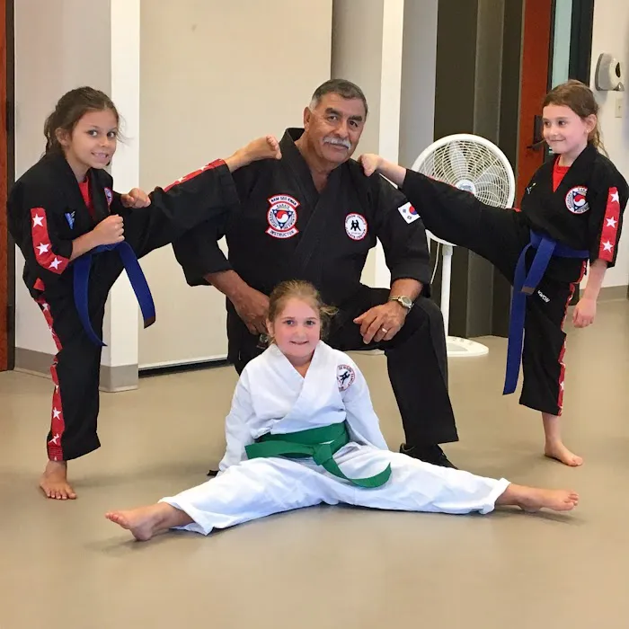 Denison Family Karate Center Picture 2