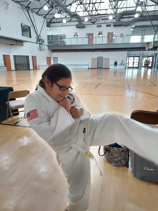 Denison Family Karate Center Picture 3