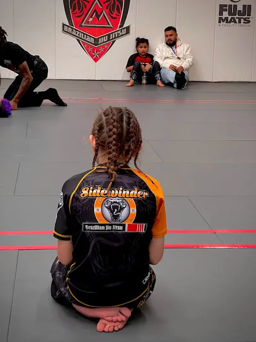 Sidewinder Jiu Jitsu Headquarters - Martial Arts, Combatives & Tactical Training Picture 7