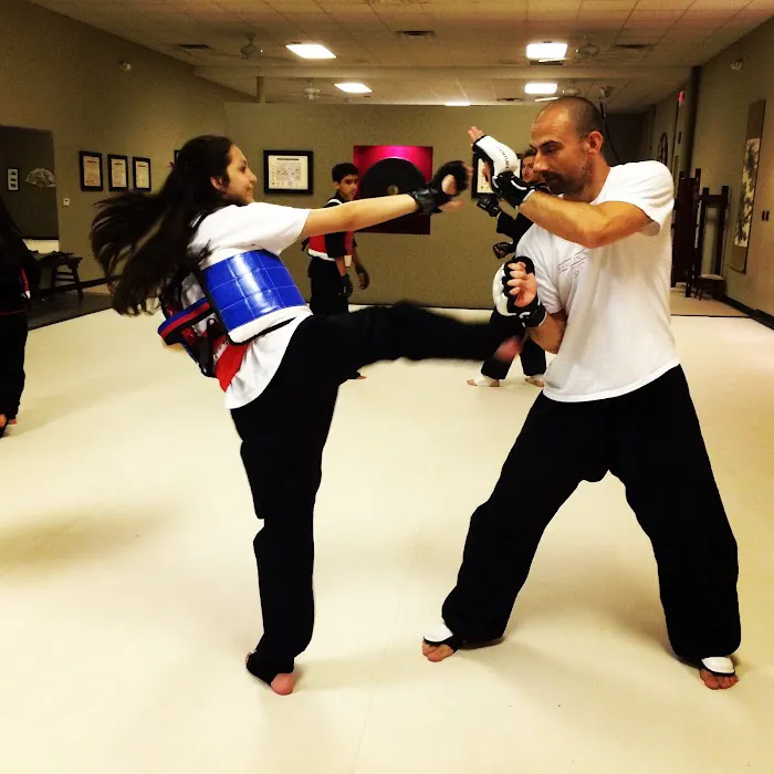 Shaolin Wu-Yi Institute Picture 2