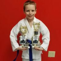 Hive Martial Arts ico