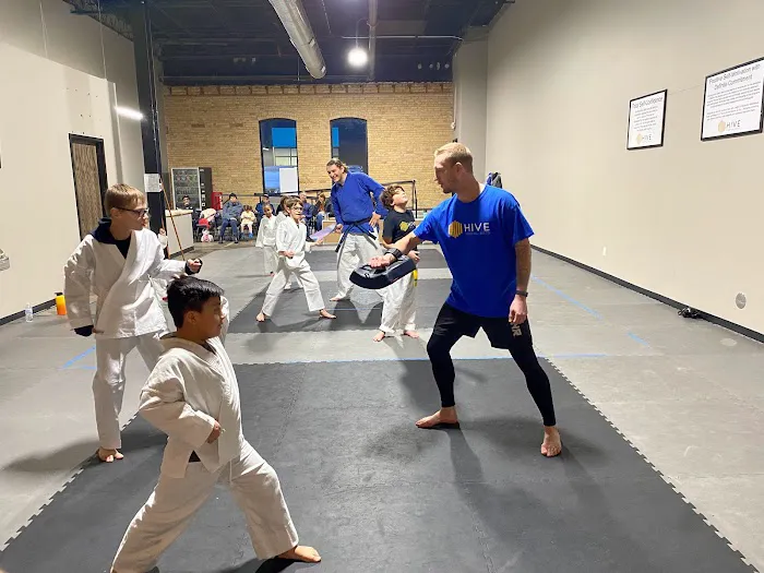 Hive Martial Arts Picture 2