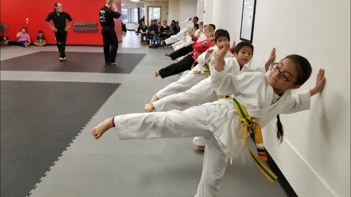 Hive Martial Arts Picture 9