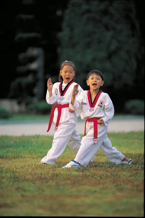 World Martial Arts Center Picture 10