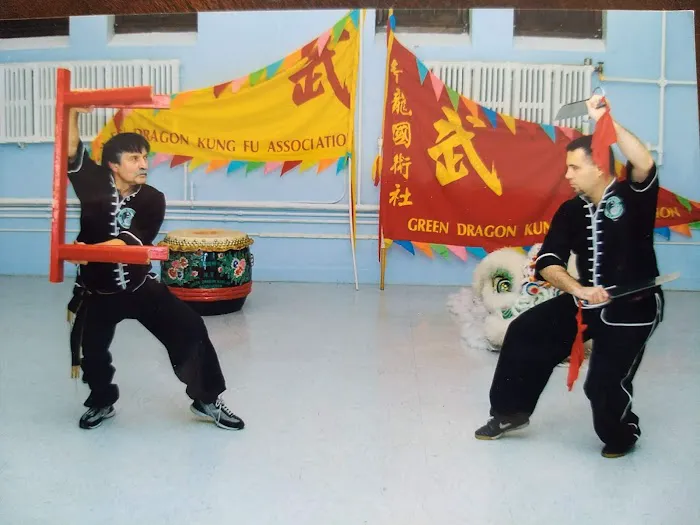 Green Dragon Kung Fu Association Picture 1