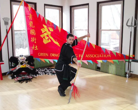 Green Dragon Kung Fu Association Picture 5