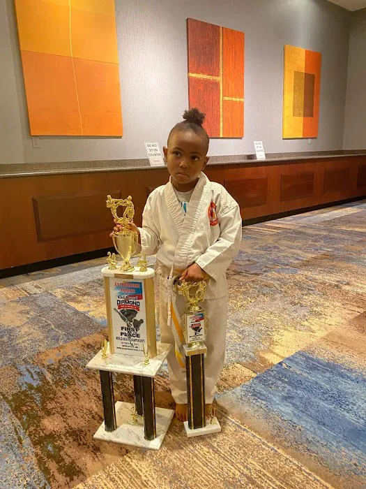 South Minneapolis National Karate Picture 1