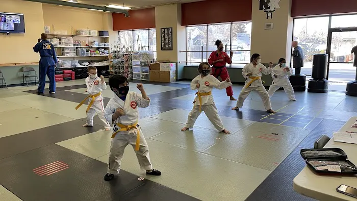 South Minneapolis National Karate Picture 7