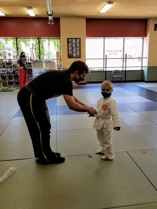 South Minneapolis National Karate Picture 4