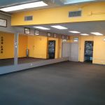 Shorin Ryu Minnesota Karate